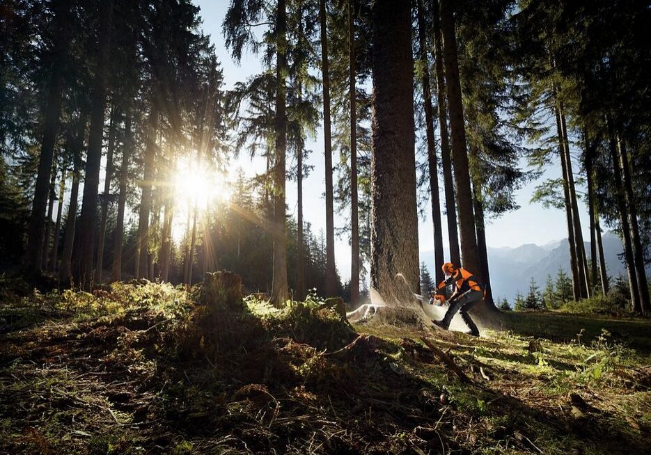 STIHL-felling-4